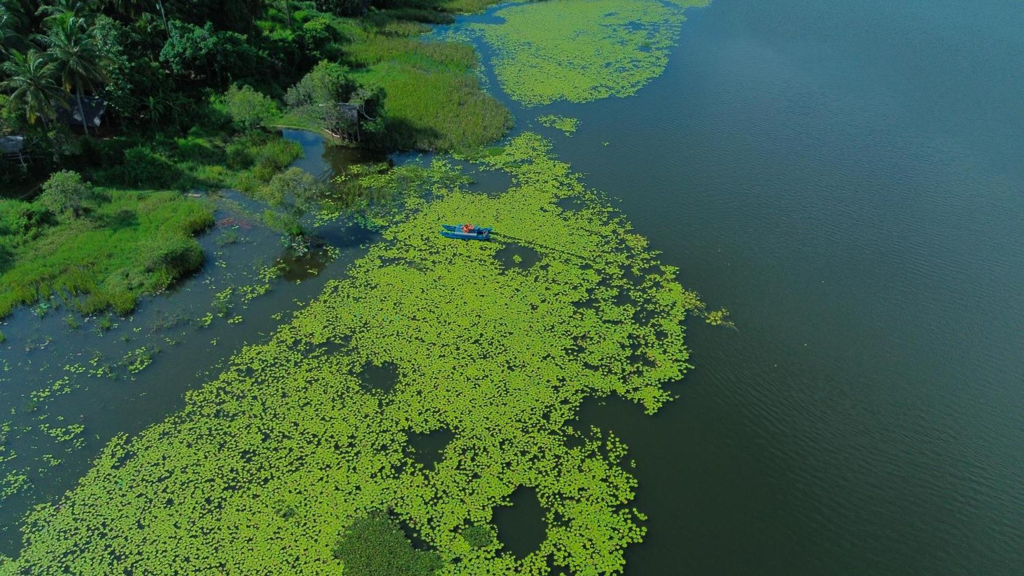 Nature'S Lake View Sigiriya Dambulla Exterior foto