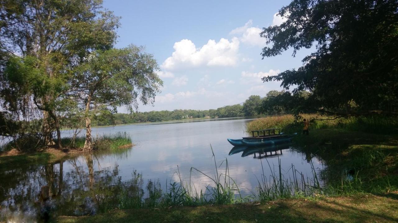 Nature'S Lake View Sigiriya Dambulla Exterior foto